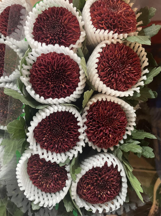 【乒乓菊】红色  约10枝/扎 商品图5