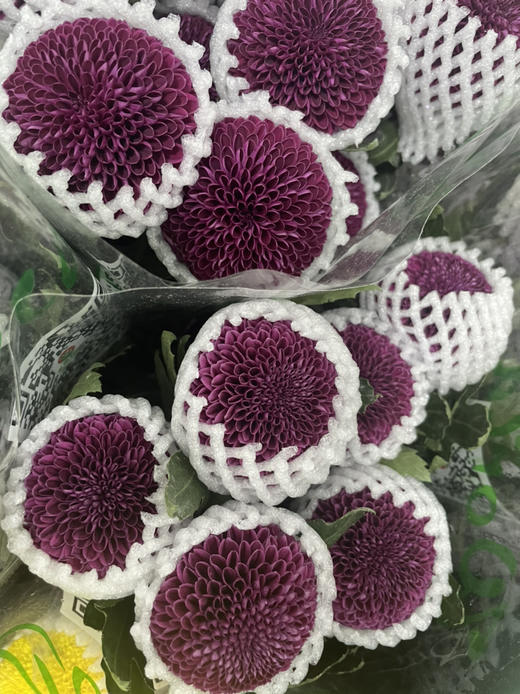 【乒乓菊】紫色 约10枝/扎 商品图5