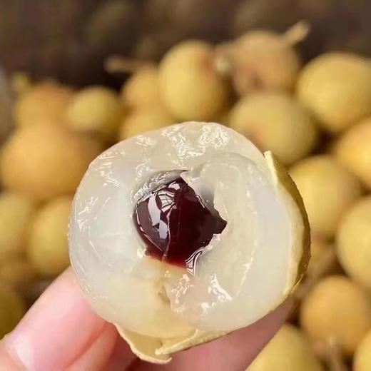 金果源鲜龙眼（两斤装JJ） 商品图8