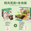 【一起种植吧，激发孩子探索自然科学的奥秘】 儿童植物观察窗种子盒 种植阳光房玩具儿童节礼物 商品缩略图6