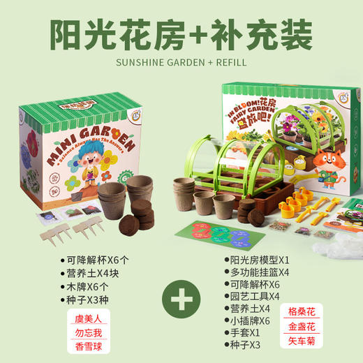 【一起种植吧，激发孩子探索自然科学的奥秘】 儿童植物观察窗种子盒 种植阳光房玩具儿童节礼物 商品图6