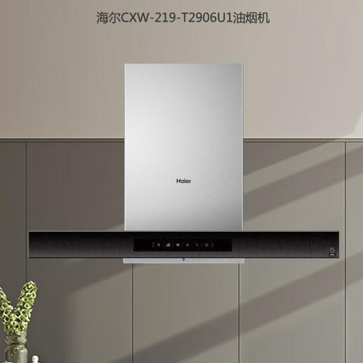 海尔（Haier）烟机CXW-219-T2906U1 商品图0