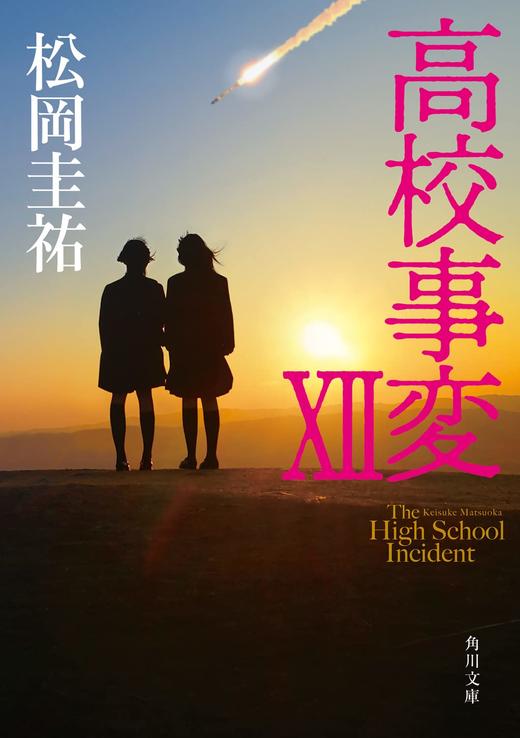 高校事変 XII 商品图0