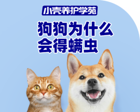 狗狗为什么会得螨虫