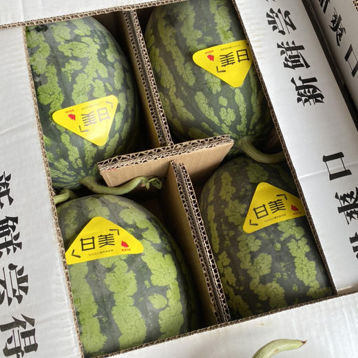 甘美甜爆4K西瓜 商品图14