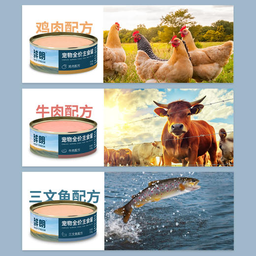 鲜朗 猫用主食罐头 适用3月龄以上（48小时内发货，着急勿拍） 商品图2