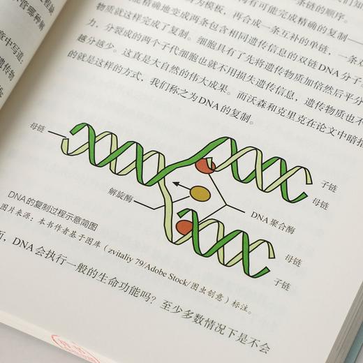(仓发) 寂静的微世界/中信出版集团股份有限公司/冉浩/9787521724363 商品图8