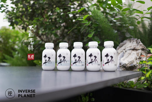 【顺丰包邮】【新升级】逆牌轻椰汁 商品图3