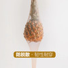 儿童丝袜夏季薄款任意剪女童打底连裤袜白色天鹅绒舞蹈袜(2条装) 商品缩略图1
