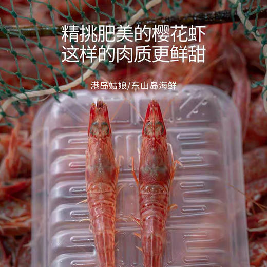 港岛姑娘 樱花虾火焰虾甜虾鲜甜度极高味鲜而不腻250g/盒18-20条装活冻 商品图3