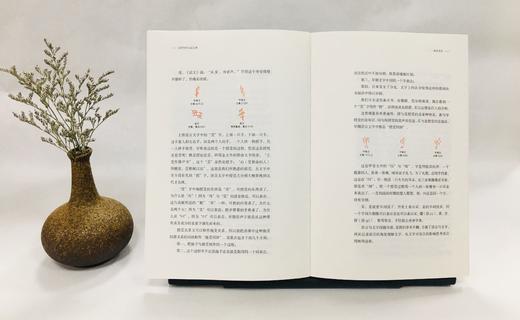 《说解汉字一百五十讲》+《汉字为什么这么美》| 古文字学家眼中的汉字真相 商品图6