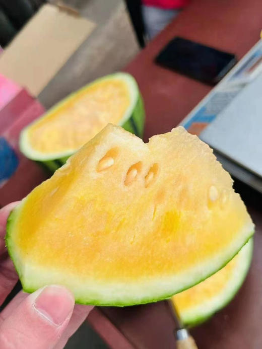 三彩牛奶西瓜渐变色高颜值松脆甜蜜好口感最稀罕的是瓜身自带淡淡奶香