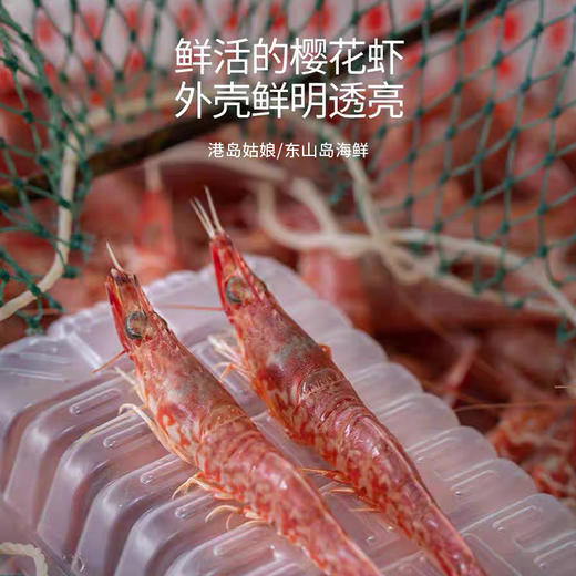 港岛姑娘 樱花虾火焰虾甜虾鲜甜度极高味鲜而不腻250g/盒18-20条装活冻 商品图2