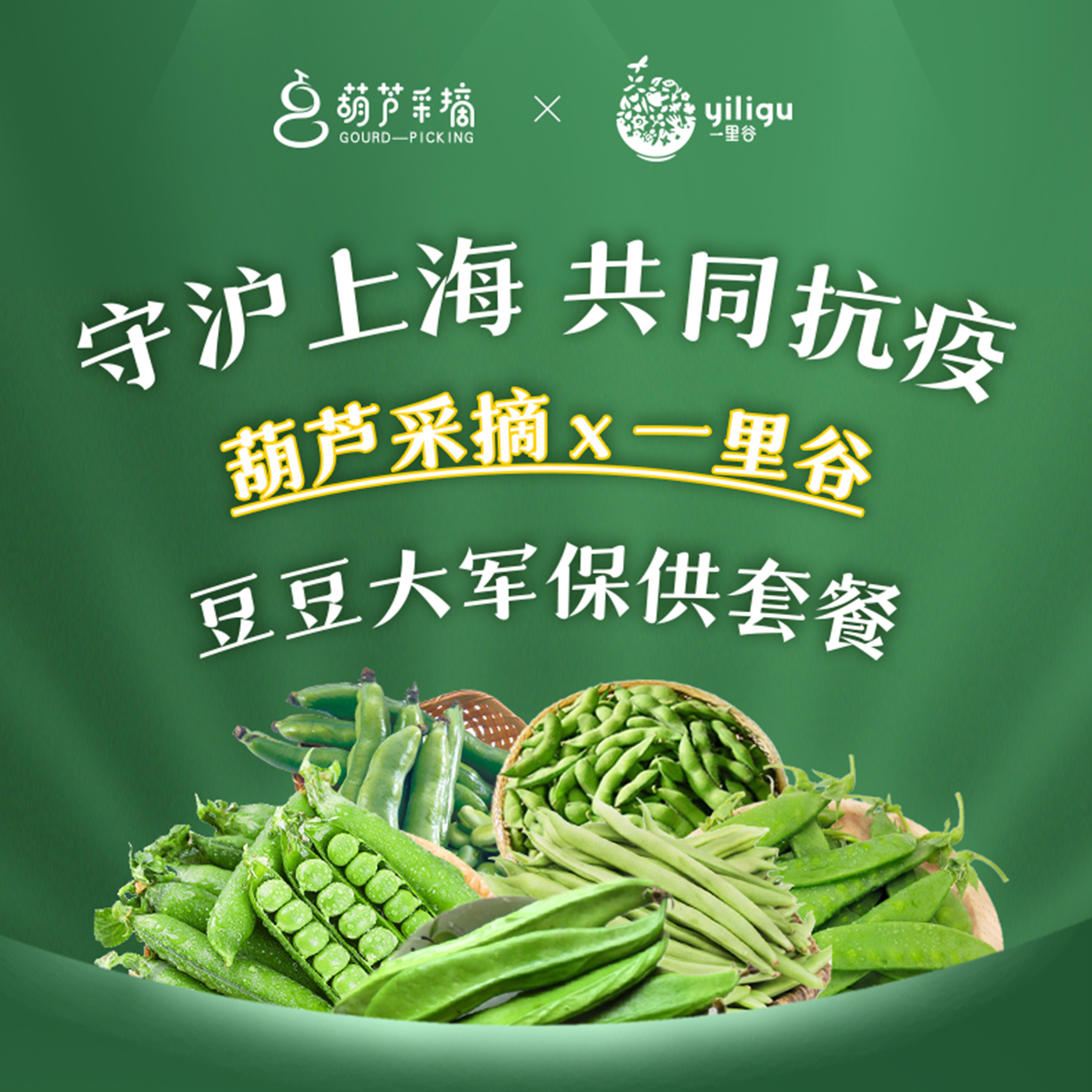 【豆豆大军套餐】68元/份，30份起送