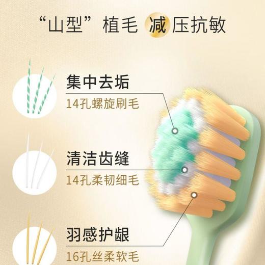 狮王细齿洁宽薄椰护龈牙刷两支装 商品图0