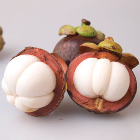 泰国老树山竹（云南）