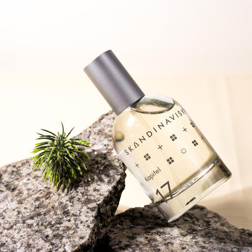 Skandinavisk 第17篇章 遥音 Skandinavisk Kapitel 17 Remote Refrain 分装 商品图0