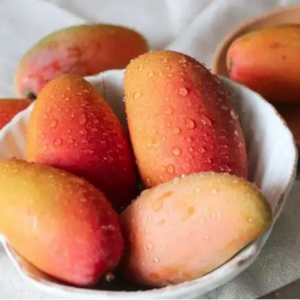 海南树熟贵妃芒 商品图0