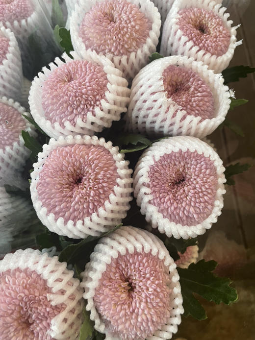 【乒乓菊】粉色  约10枝/扎 商品图6