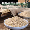 【青藏杂粮】青藏藜麦500g /盒会发芽的小米粒 商品缩略图8