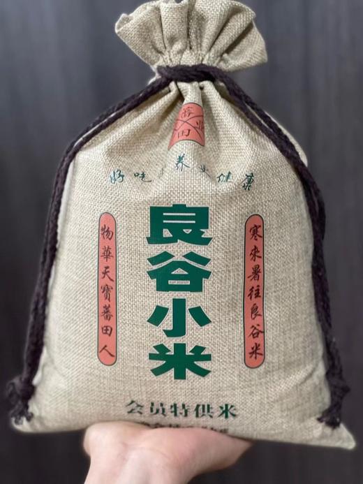 【藩田】良谷小米 商品图3