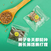 【一起种植吧，激发孩子探索自然科学的奥秘】 儿童植物观察窗种子盒 种植阳光房玩具儿童节礼物 商品缩略图1