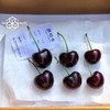【艺树家】艺树家，俄8黑珍珠樱桃，国内最佳樱桃品种，口感甜浓不单调有回味，有幸福感！ 商品缩略图11