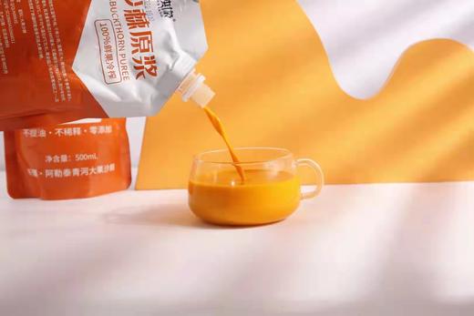 F 疆域映像沙棘原浆500ml/袋  鲜果冷榨 商品图1