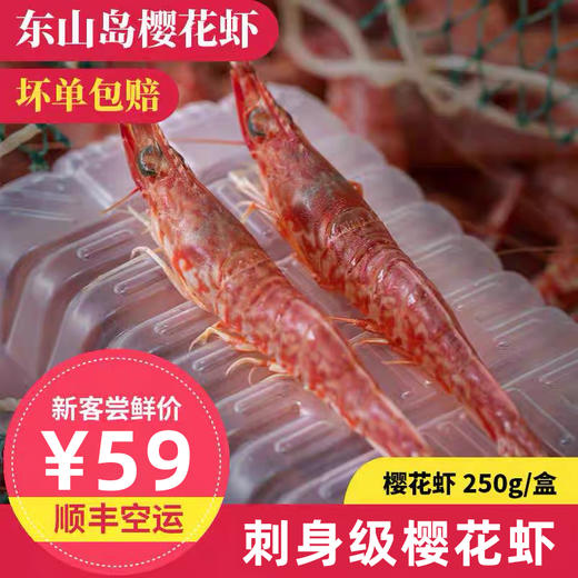 港岛姑娘 樱花虾火焰虾甜虾鲜甜度极高味鲜而不腻250g/盒18-20条装活冻 商品图1