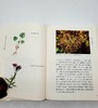 重点推荐：《草木缘情》（第二版）
 
《草木缘情》，精装，16开，潘富俊著，商务印书馆2016年版，定价99.9元，售价50元。
 
本书是作者多年来文献研究与田野考察的总结，其内容几乎囊括了植物与文 商品缩略图3
