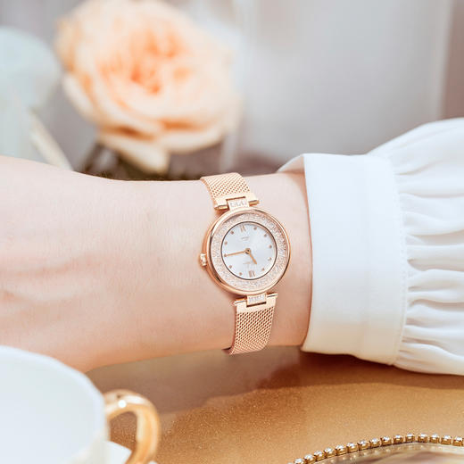 依波（EBOHR）卡纳系列时尚女表石英表小星环防水表女5155 商品图6