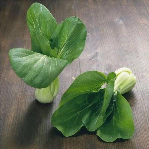 小青菜 500g±50g 【BC】【XZ】 商品图1