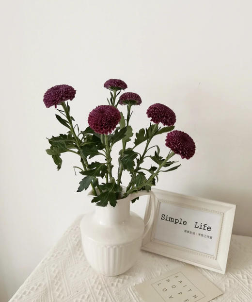 【乒乓菊】紫色 约10枝/扎 商品图1