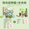 【一起种植吧，激发孩子探索自然科学的奥秘】 儿童植物观察窗种子盒 种植阳光房玩具儿童节礼物 商品缩略图7