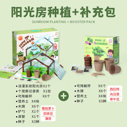 【一起种植吧，激发孩子探索自然科学的奥秘】 儿童植物观察窗种子盒 种植阳光房玩具儿童节礼物 商品图7