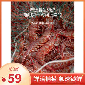 港岛姑娘 樱花虾火焰虾甜虾鲜甜度极高味鲜而不腻250g/盒18-20条装活冻