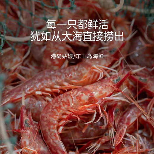 港岛姑娘 樱花虾火焰虾甜虾鲜甜度极高味鲜而不腻250g/盒18-20条装活冻 商品图4