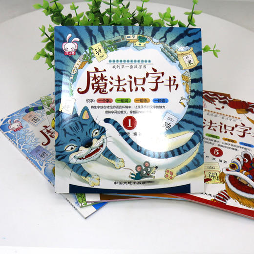 A18-【3-6岁】我的第一本汉字书：魔法识字书（全6册） 商品图1