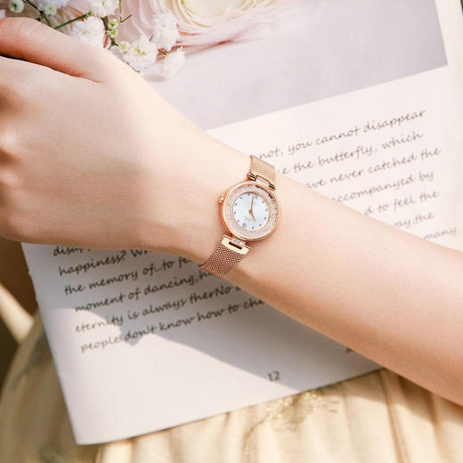 依波（EBOHR）卡纳系列时尚女表石英表小星环防水表女5155 商品图4