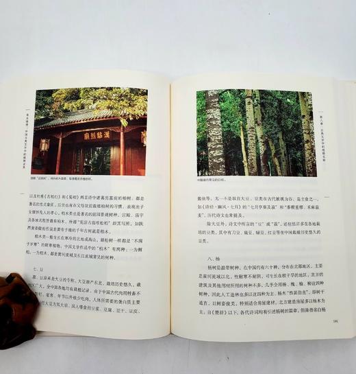 重点推荐：《草木缘情》（第二版）
 
《草木缘情》，精装，16开，潘富俊著，商务印书馆2016年版，定价99.9元，售价50元。
 
本书是作者多年来文献研究与田野考察的总结，其内容几乎囊括了植物与文 商品图5