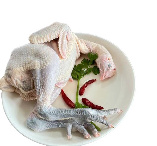 苏食青脚麻鸡约1.2-1.5kg/只【025】 商品图0