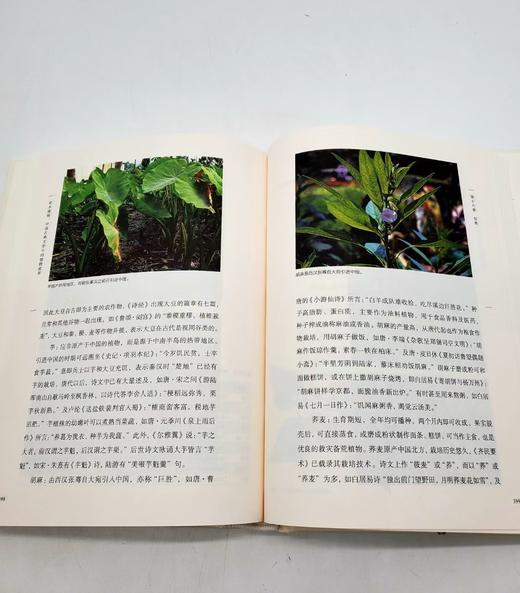重点推荐：《草木缘情》（第二版）
 
《草木缘情》，精装，16开，潘富俊著，商务印书馆2016年版，定价99.9元，售价50元。
 
本书是作者多年来文献研究与田野考察的总结，其内容几乎囊括了植物与文 商品图8