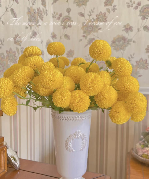 【乒乓菊】-黄色  约10枝/扎 商品图1