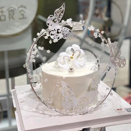 天鹅之梦 商品图0