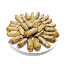 蛏子 1斤24-28粒左右（送货路上不保活）