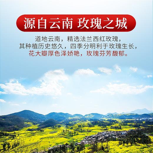 庄民 玫瑰花茶 香味浓郁 精选好货 干花茶叶花草茶50g/罐 商品图4