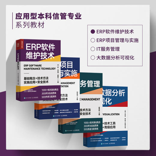 ERP软件维护技术 企业管理信息管理书籍 商品图5