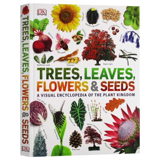 树 树叶 种子百科 英文原版 Trees Leaves Flowers Seeds DK 植物王国的视觉百科全书 英文版进口原版英语书籍 商品图3
