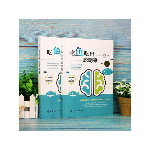 【心如健推荐】吃鱼吃出聪明来 商品图3