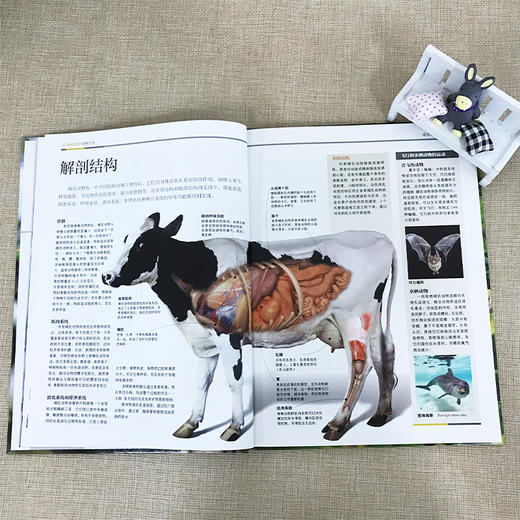 (仓发) 国家地理动物百科2.0版：哺乳动物（上）/山西人民出版社/西班牙Sol90/9787203107323 商品图5